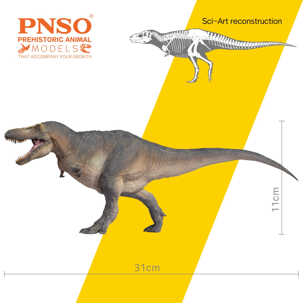 PNSO 선사 시대 공룡 모델: 51 Chuanzi 타 - Model Kit Tristan 리뷰 및 가격